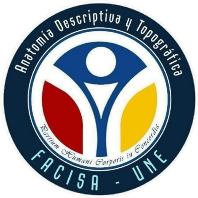 Anatomía Descriptiva y Topográfica FACISA-UNE Anatomía Descriptiva y Topográfica FACISA-UNE