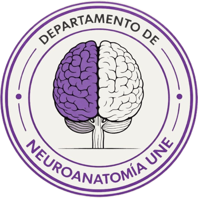 Departamento de Neuroanatomía UNE Departamento de Neuroanatomía UNE